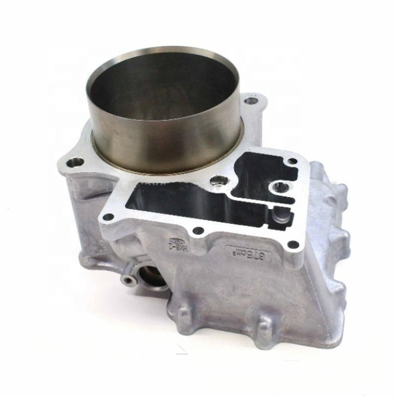 Motorcycle Engine Kit - Pièces TG55 : Ensemble de chemises